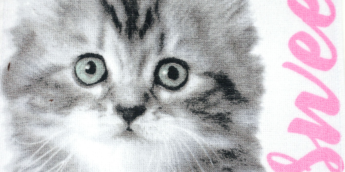 Ręcznik 30x50 kotek sweet 